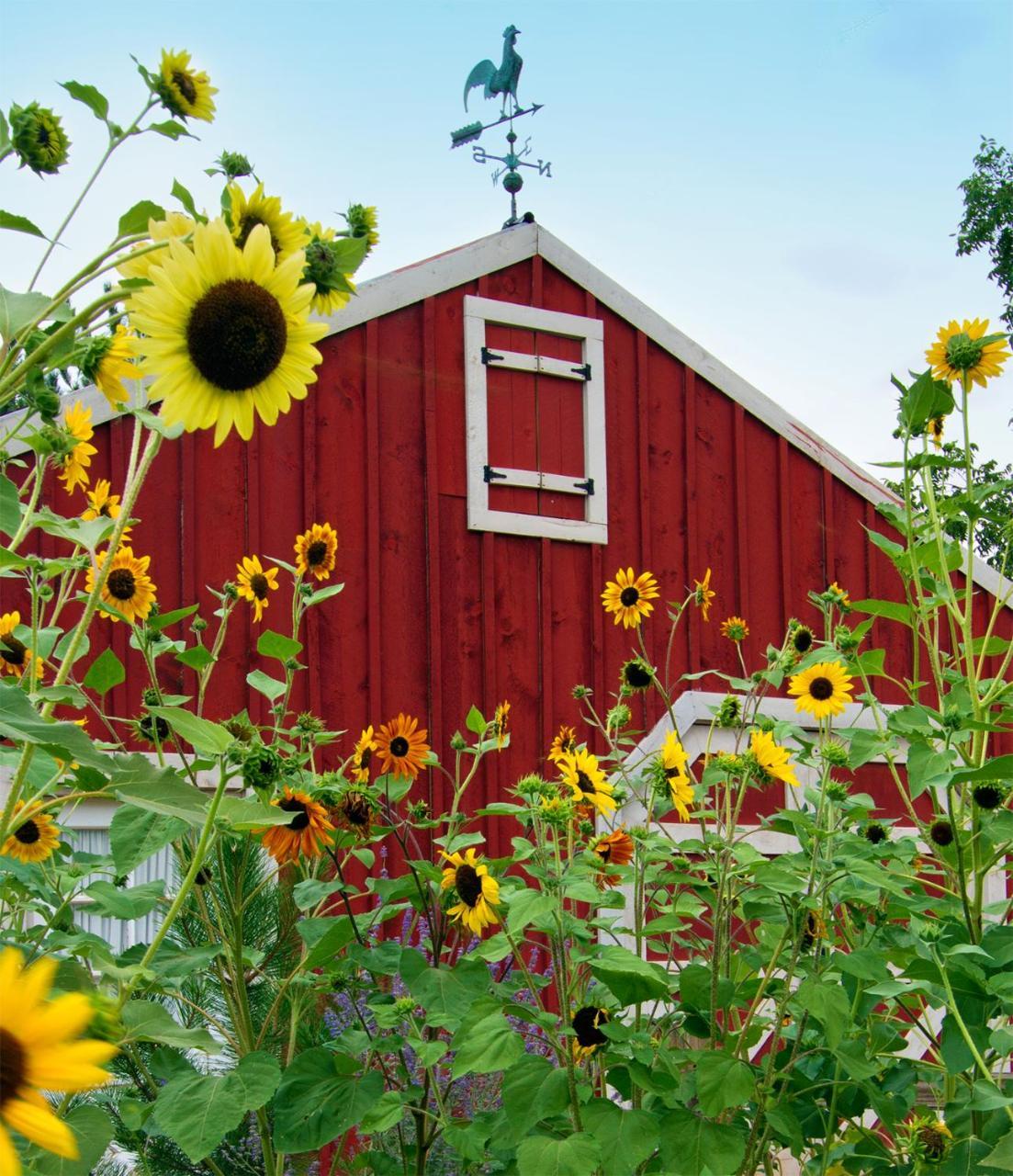 Sunflower Hill Inn Moab Luaran gambar
